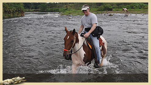 rivers
