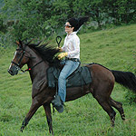 img27