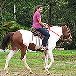 img16