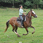 img11