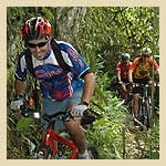 img11