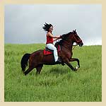 img1